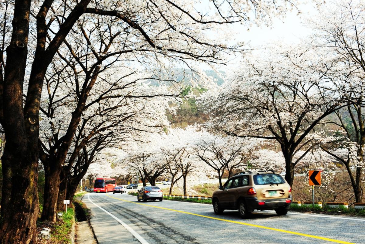 충북 제천 청풍호 / 휴윗제천 홈페이지