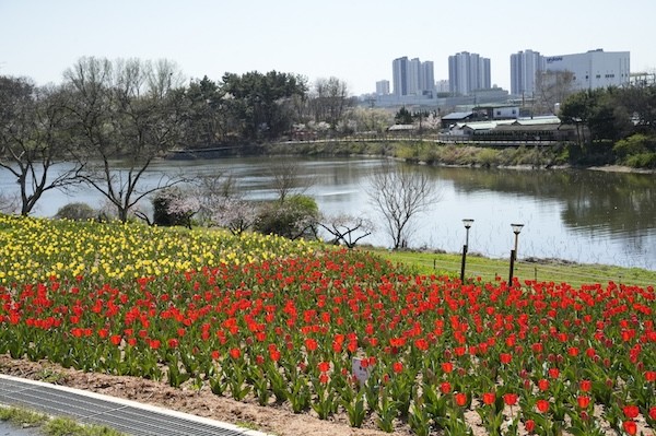 익산 신흥공원 꽃바람정원 / 익산시