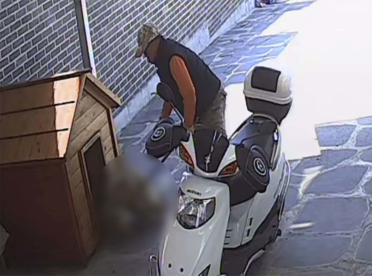 개장수로 추정되는 남성이 남의 집에 침입해 올가미를 걸고 반려견을 개집에서 강제로 끌어내고 있다. 보호자가 인스타그램에 올린 영상을 캡처한 사진이다.