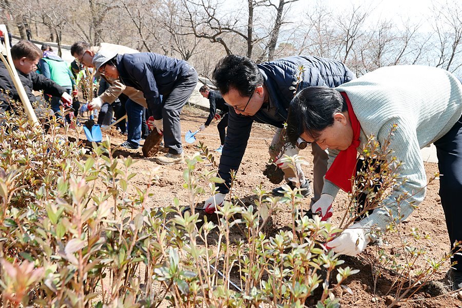 옹진군 연평면, 망향공원 일대 영산홍 1,000주 식재
