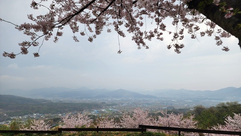엘포리 글램팅에서 본 풍경 / 박병준 기자