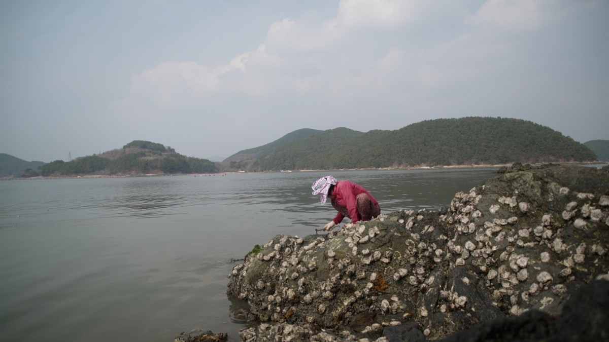 EBS1 '한국기행' 미리보기 페이지에서 제공하는 '엄마의 빨리빨리' 편 자료 사진. / EBS1 제공
