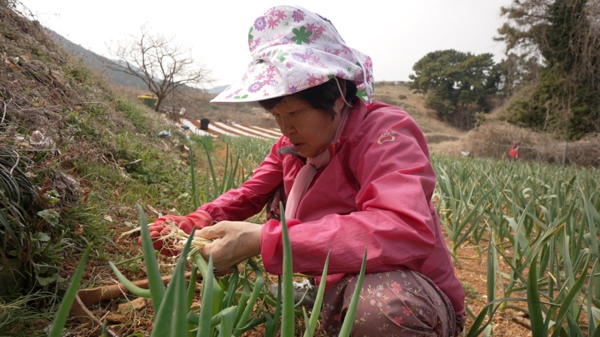 EBS1 '한국기행' 미리보기 페이지에서 제공하는 '엄마의 빨리빨리' 편 자료 사진. / EBS1 제공