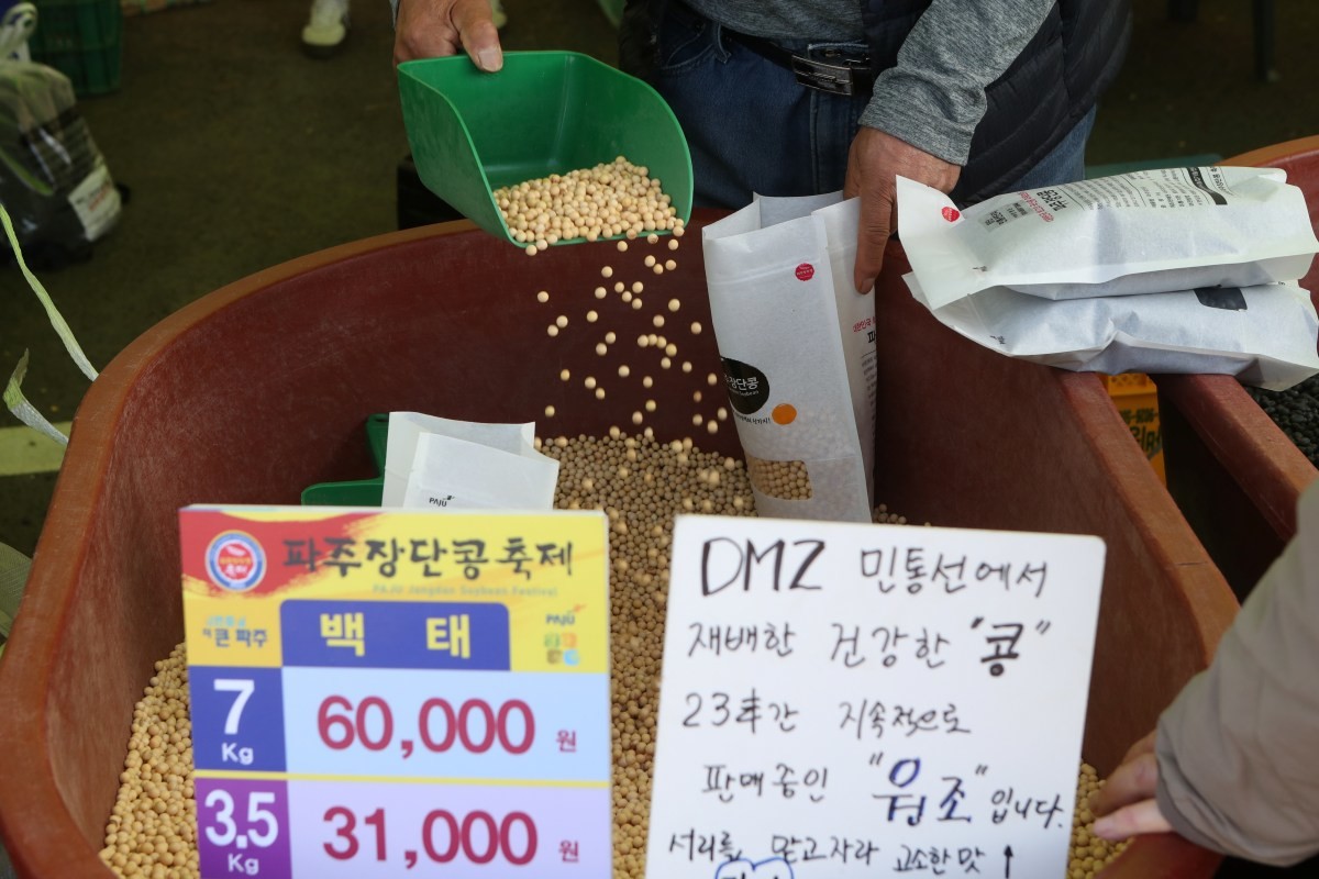 파주 장단콩 / 연합뉴스