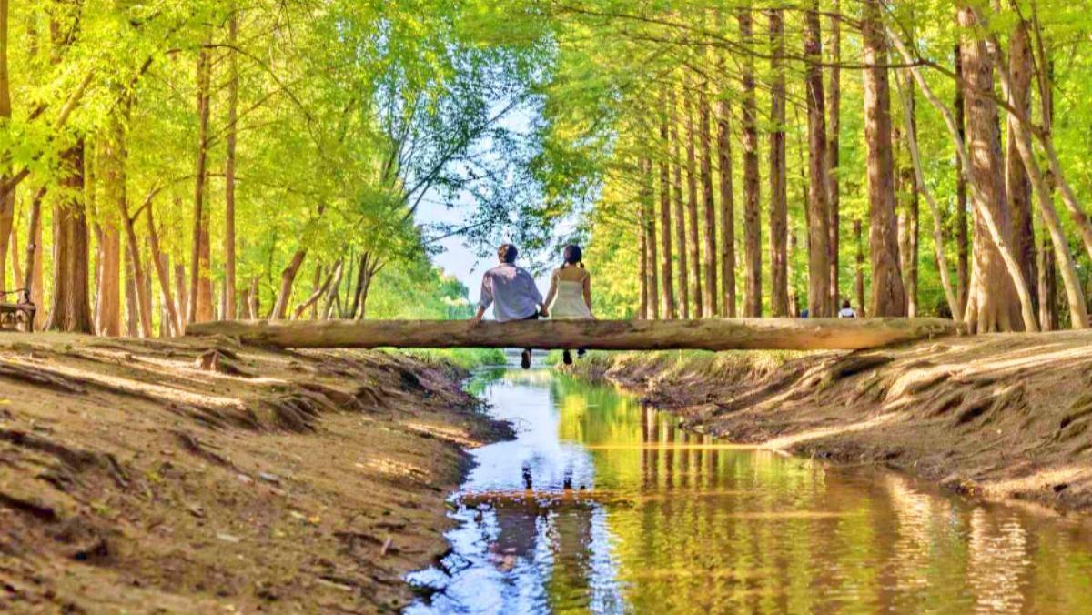 50년 연구한 숲이 열렸다…산책·나들이·데이트 명소, '무료' 지방정원