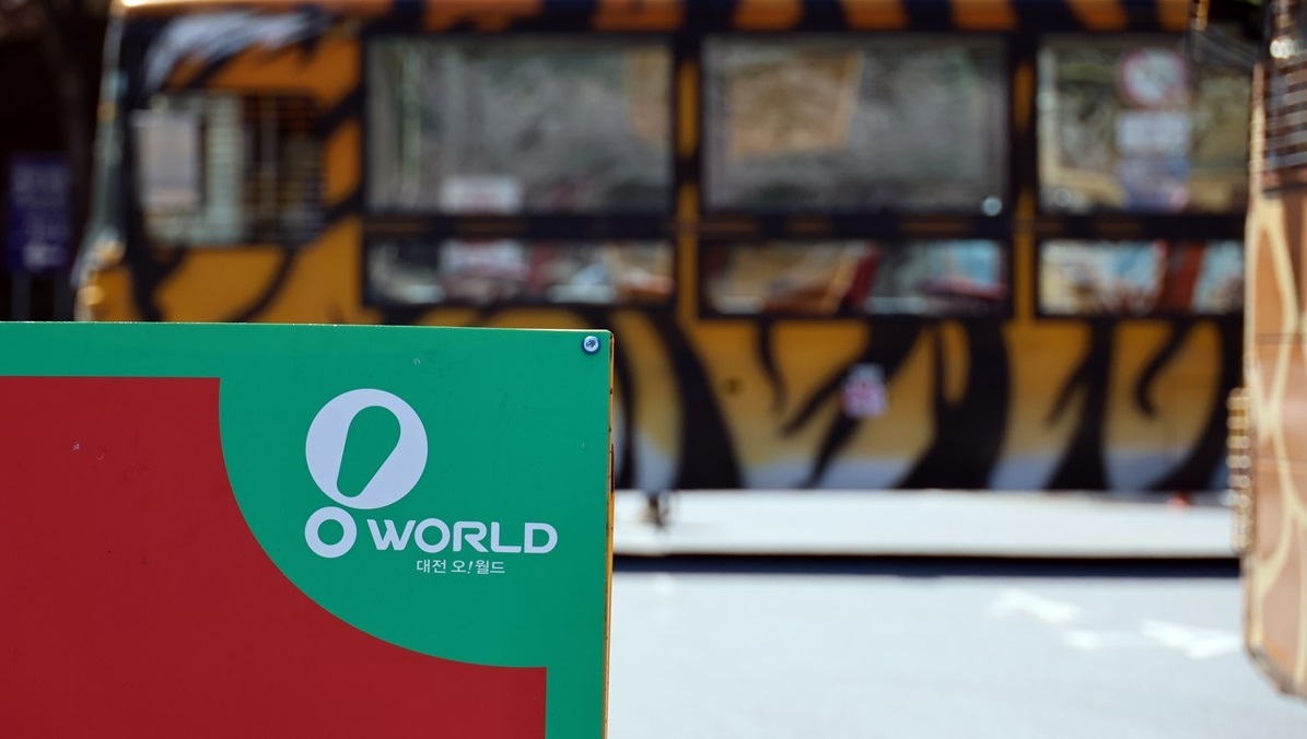 대전 오월드 탈출한 늑대, 충북 청주서 목격 신고…현재 행방 묘연 