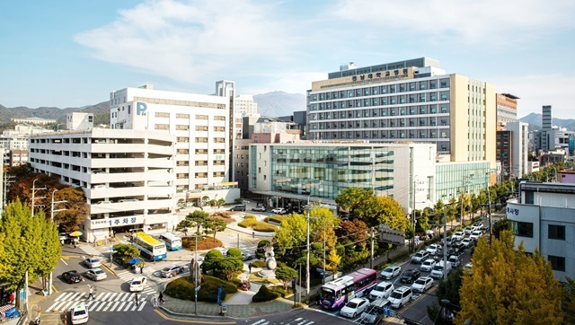 전남대병원, 정부 개인기초연구사업 23개 과제 싹쓸이…연구비 146억 '잭팟'