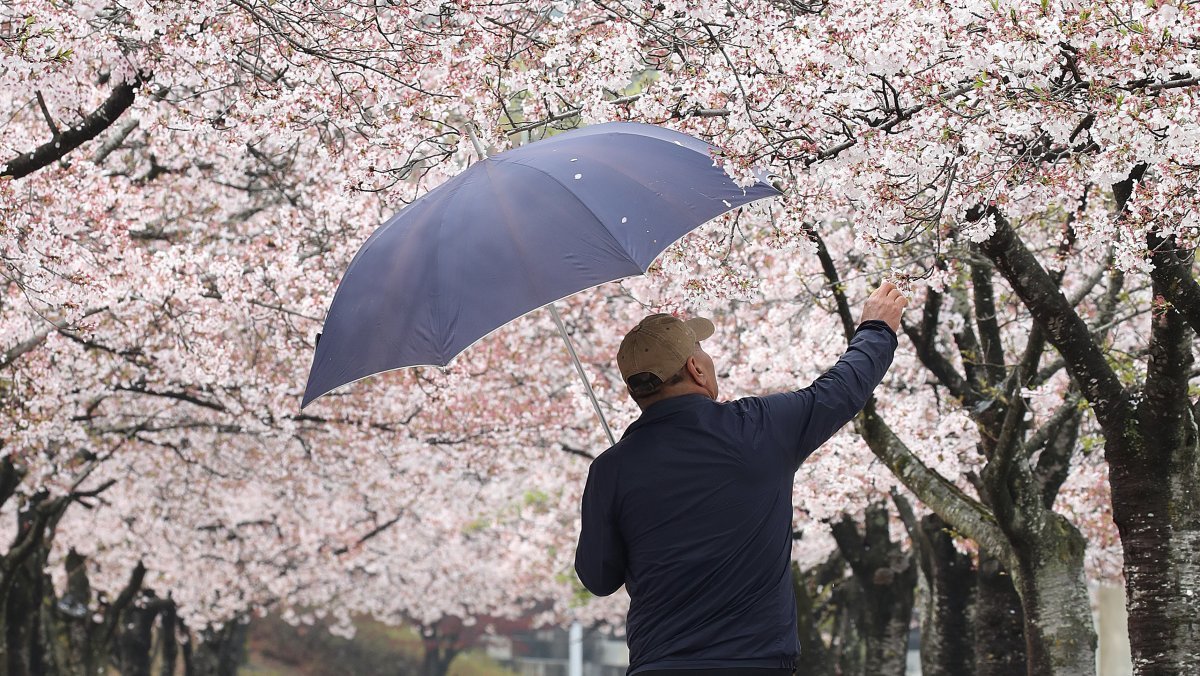 비 그치더니 확 달라진다…이번 주말 날씨, 예상 밖입니다