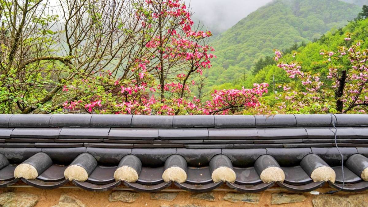 오성 한옥마을 / 한국관광공사(촬영 : 김지호)