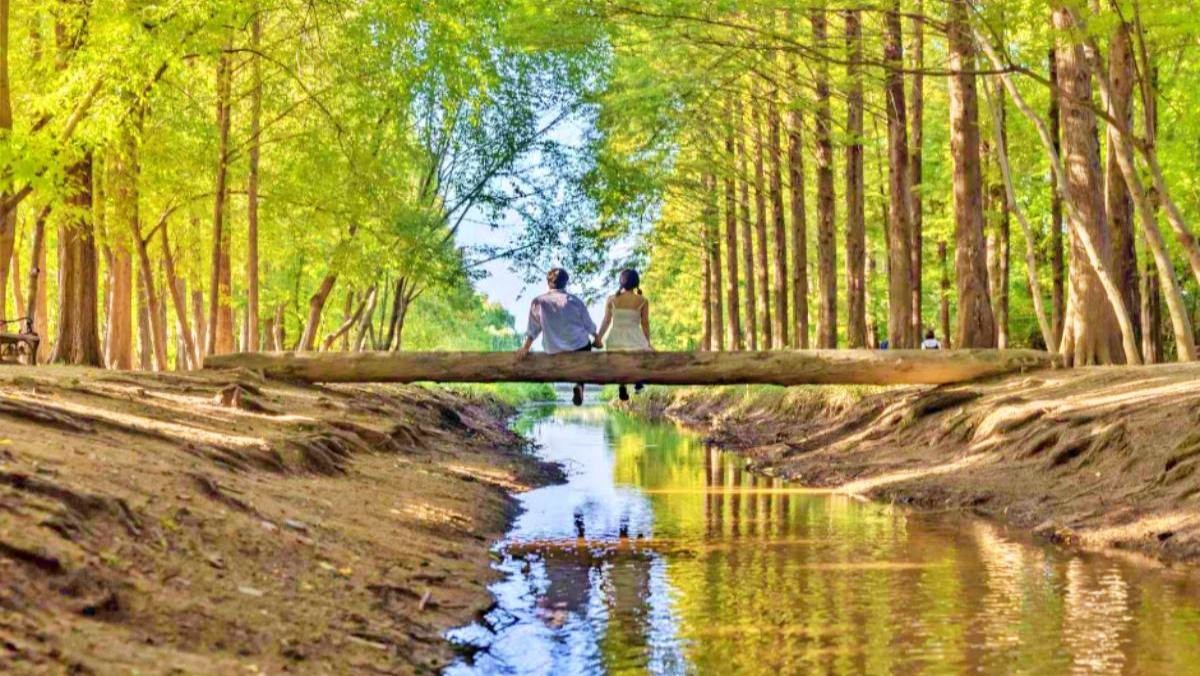 경북천년숲정원 / ⓒ한국관광콘텐츠랩