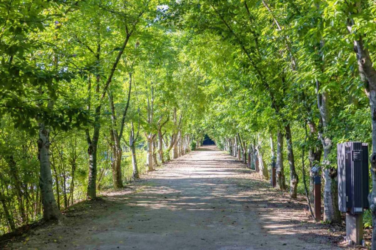경북천년숲정원   / ⓒ한국관광콘텐츠랩
