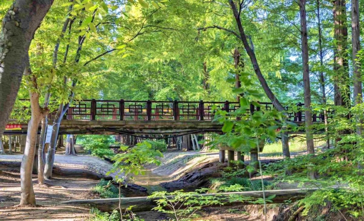 경북천년숲정원 / ⓒ한국관광콘텐츠랩