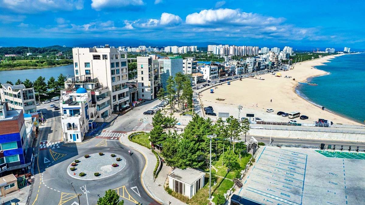 강릉커피거리 / 비짓강릉 홈페이지