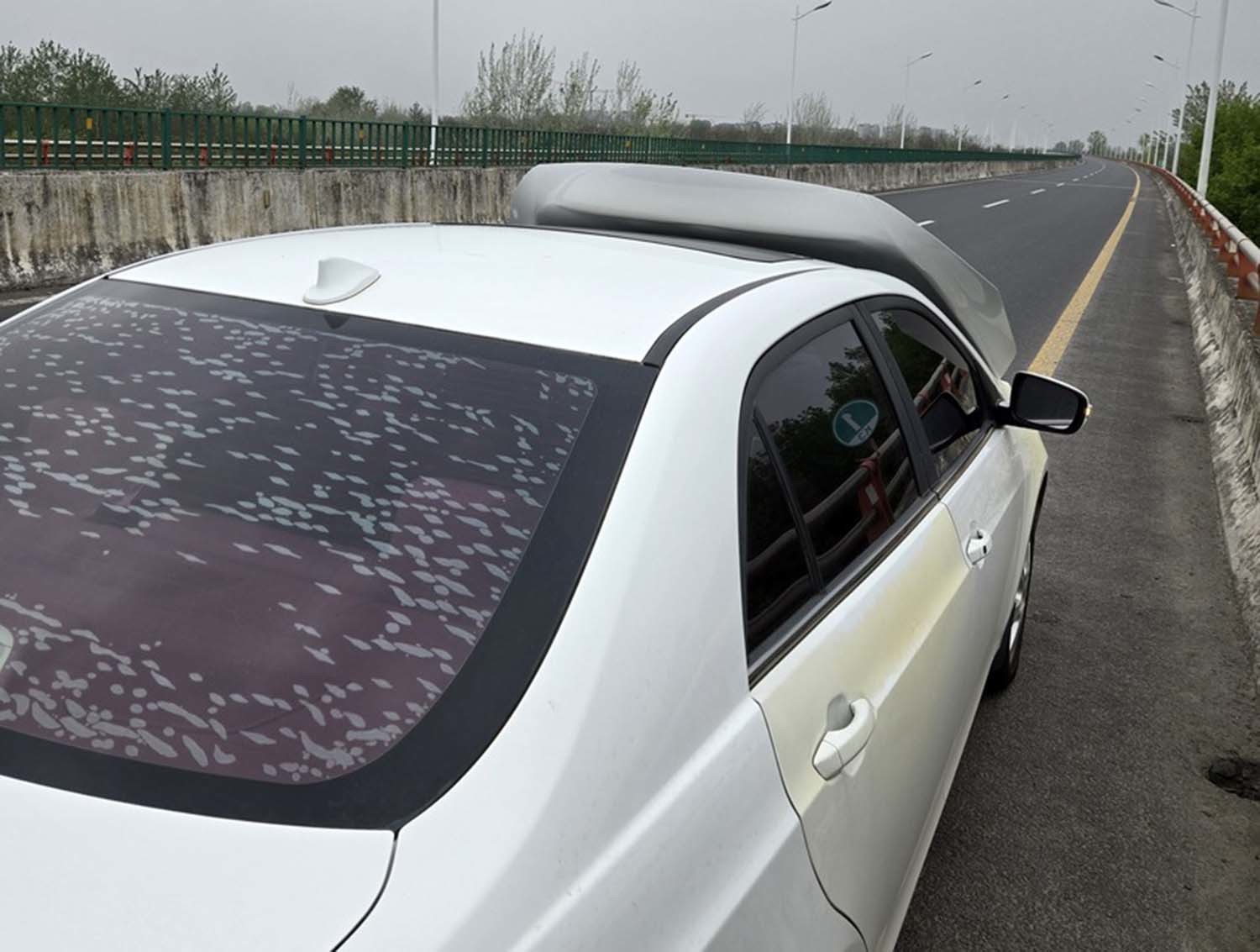 글쓴이가 공개한 사진. /    SLR클럽