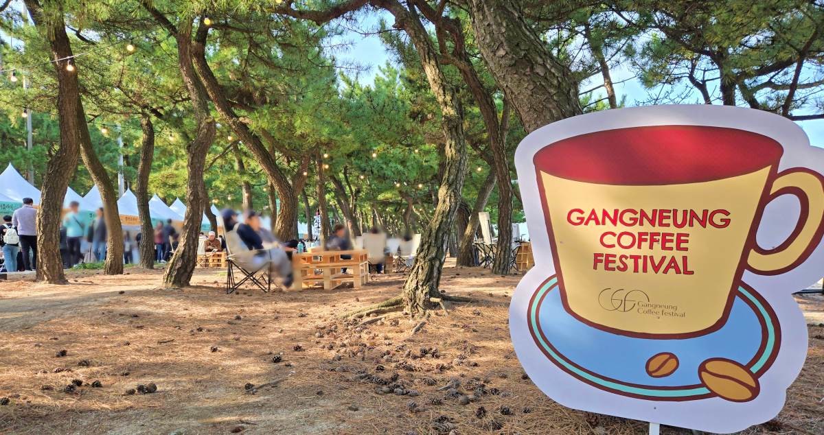 2025년 강릉커피축제 / 연합뉴스