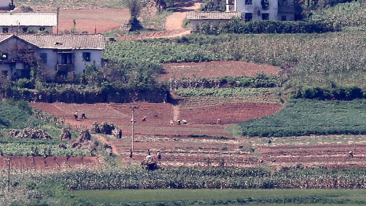 기사 이해를 돕기 위한 사진으로, 경기 파주 통일전망대 너머 황해북도 개풍군 일대에서 북한 주민들이 밭일을 하고 있다. 태풍전망대는 접경지역 보안구역 특성상 촬영이 어려워 해당 사진으로 대체했다.