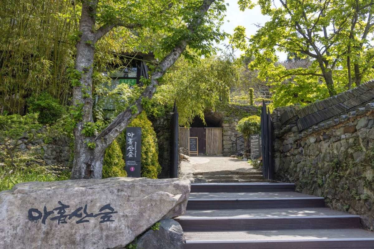 아홉산숲   / 부산관광공사