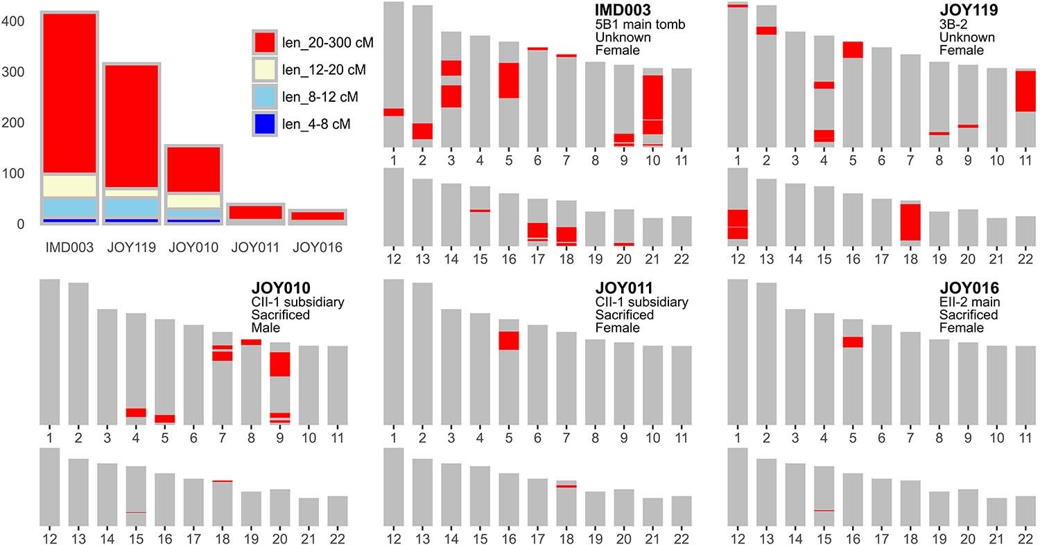 임당·조영 유적 5곳의 ROH 분포. / 사이언스 어드밴시스