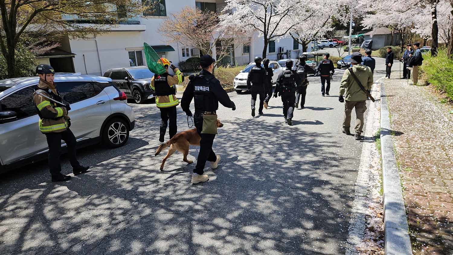 소방, 경찰, 오월드, 금강유역환경청, 엽사 등이 8일 대전 오월드에서 탈출한 늑대 늑구에 대한 수색 및 포획 작업을 하고 있다. / 대전소방본부 제공