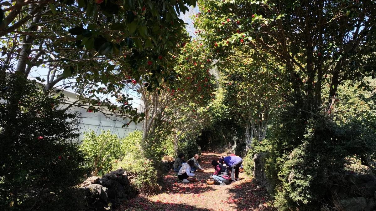 EBS1 '한국기행' 미리보기 페이지에서 제공하는 '느영나영 살게' 편 자료 사진. / EBS1 제공