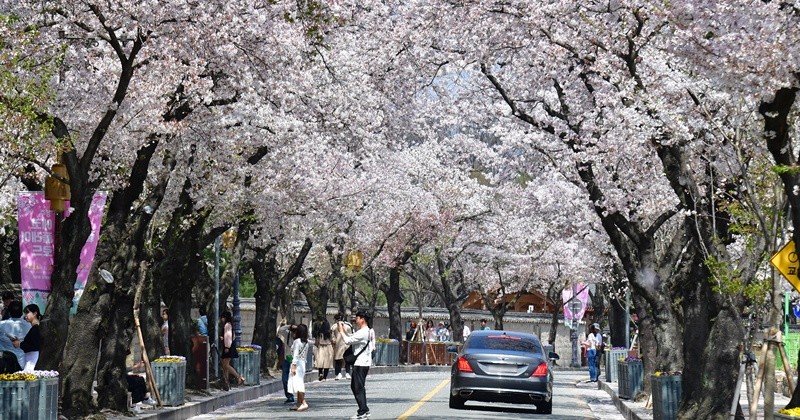 기사의 이해를 돕기 위한 사진 / 뉴스1