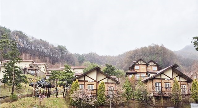 공무원연금공단-한국산림복지진흥원, 2026년 ‘산림치유형 마음케어’ 사업 본격 추진