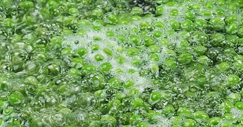 과일보다 낫다...먹고 싶은 만큼 먹어도 혈당 걱정 없는 '이 반찬'