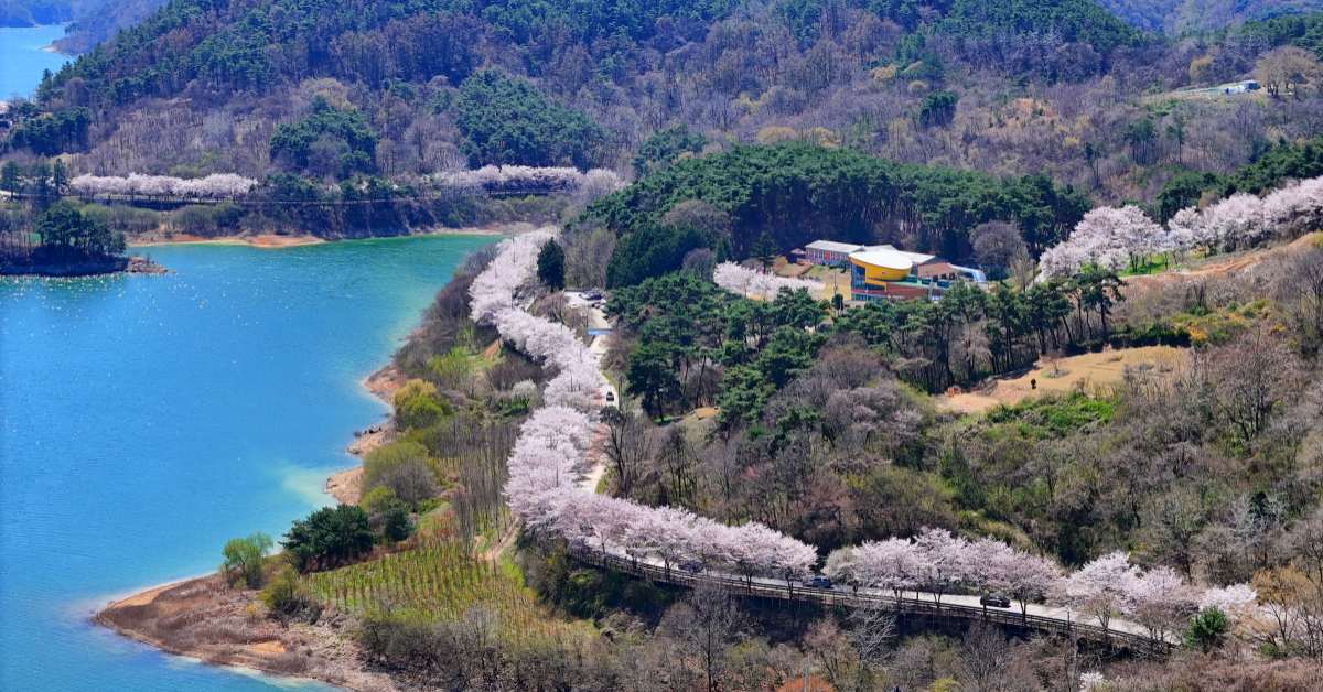 벚꽃 드라이브·출렁다리까지… 전북 임실의 숨은 보석 같은 ‘여행지’ 정체