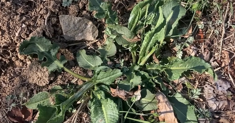 유튜브 '산타는 곰돌이'