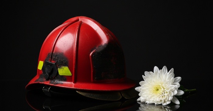 기사의 이해를 돕기 위한 AI 생성 이미지