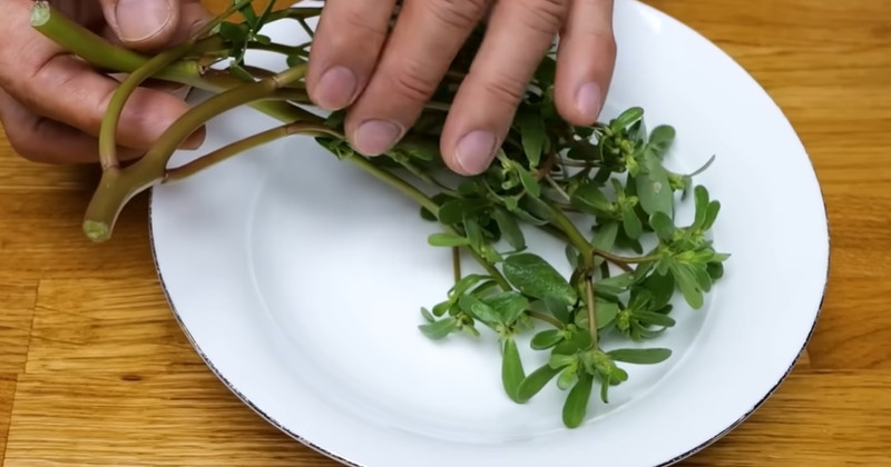 유튜브 '김대석 셰프TV'