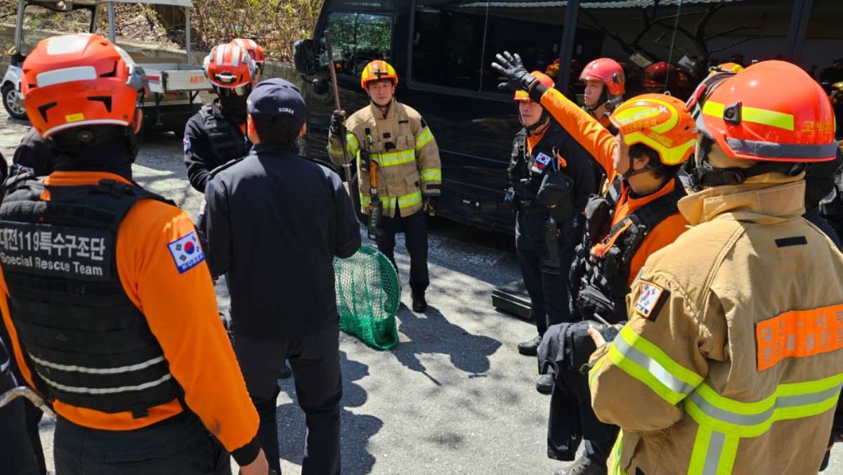 지난 8일 대전 오월드에서 늑대 1마리가 탈출한 가운데 소방, 경찰, 오월드, 금강유역환경청, 엽사 등이 수색 및 포획 작업을 하고 있다.  / 뉴스1