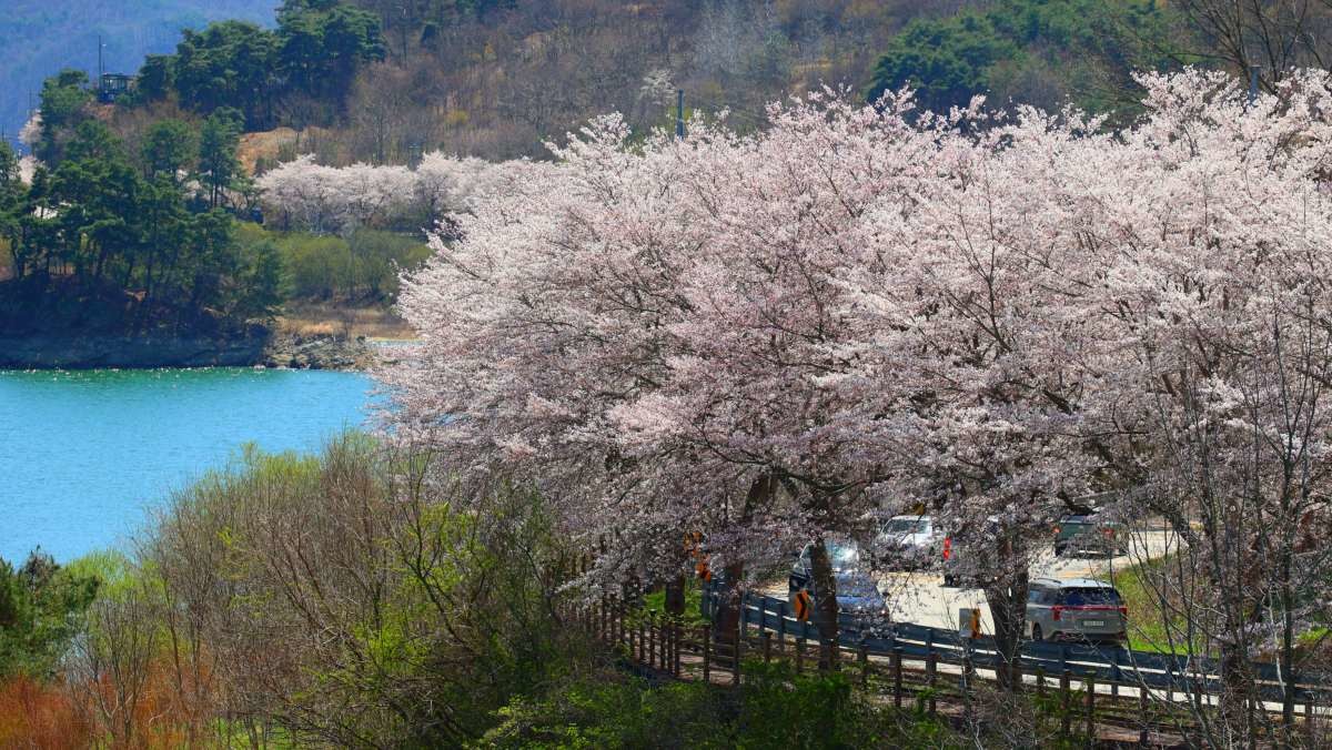 옥정호. / 뉴스1