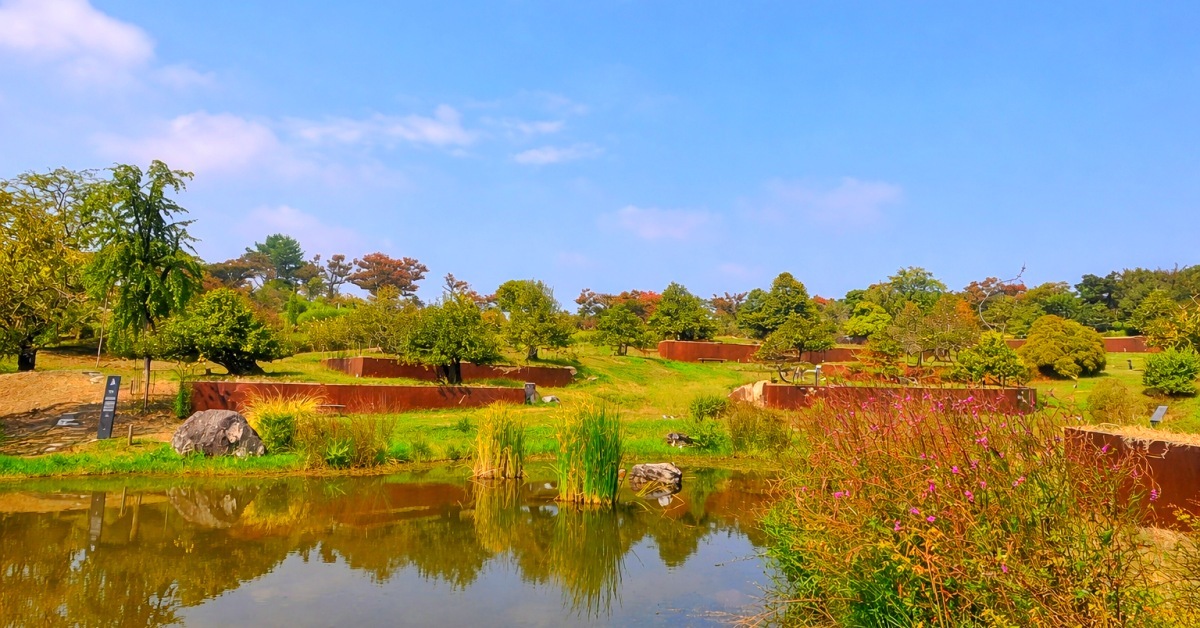 입장료 5만 원 넘어도 인기... 봄철에만 볼 수 있는 ‘656세 모과나무’ 있는 이곳