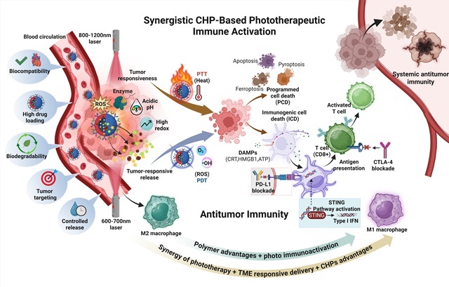 전남대, 차세대 암 광면역치료 로드맵 제시