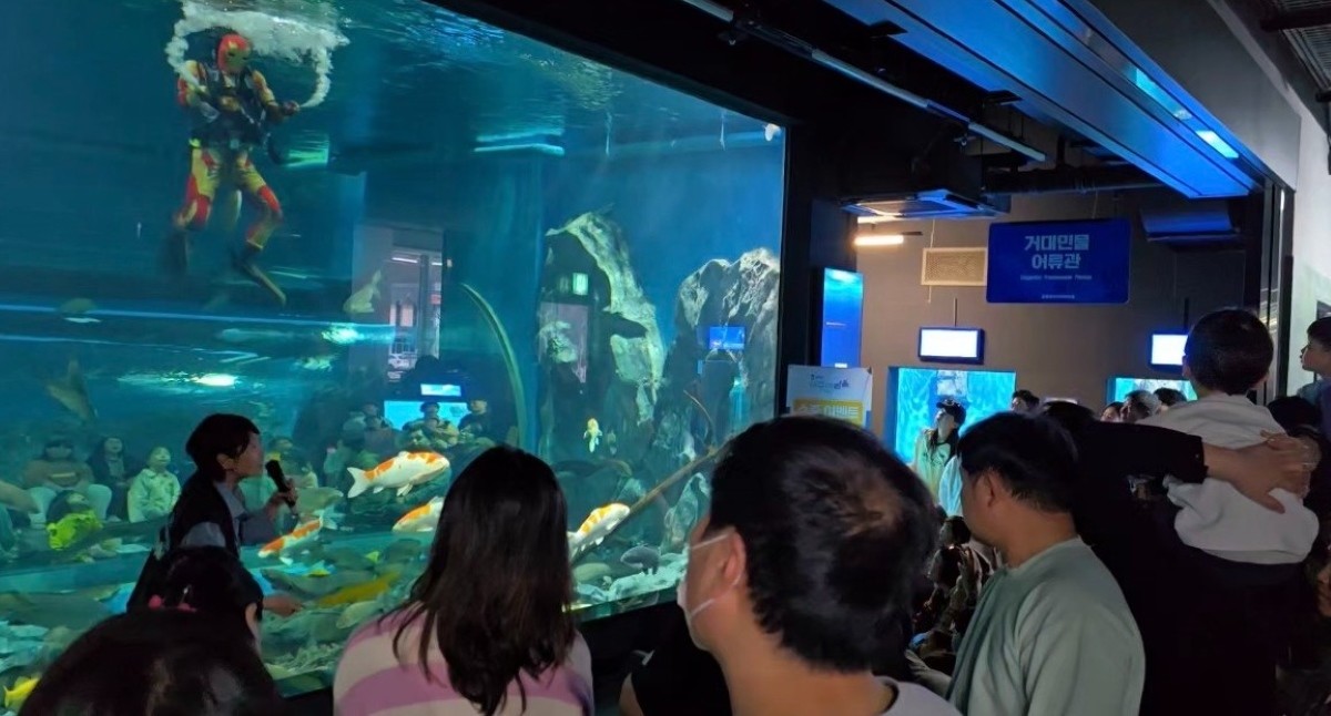 충북아쿠아리움에서 수중공연을 관람하는 관람객들 / 충청북도