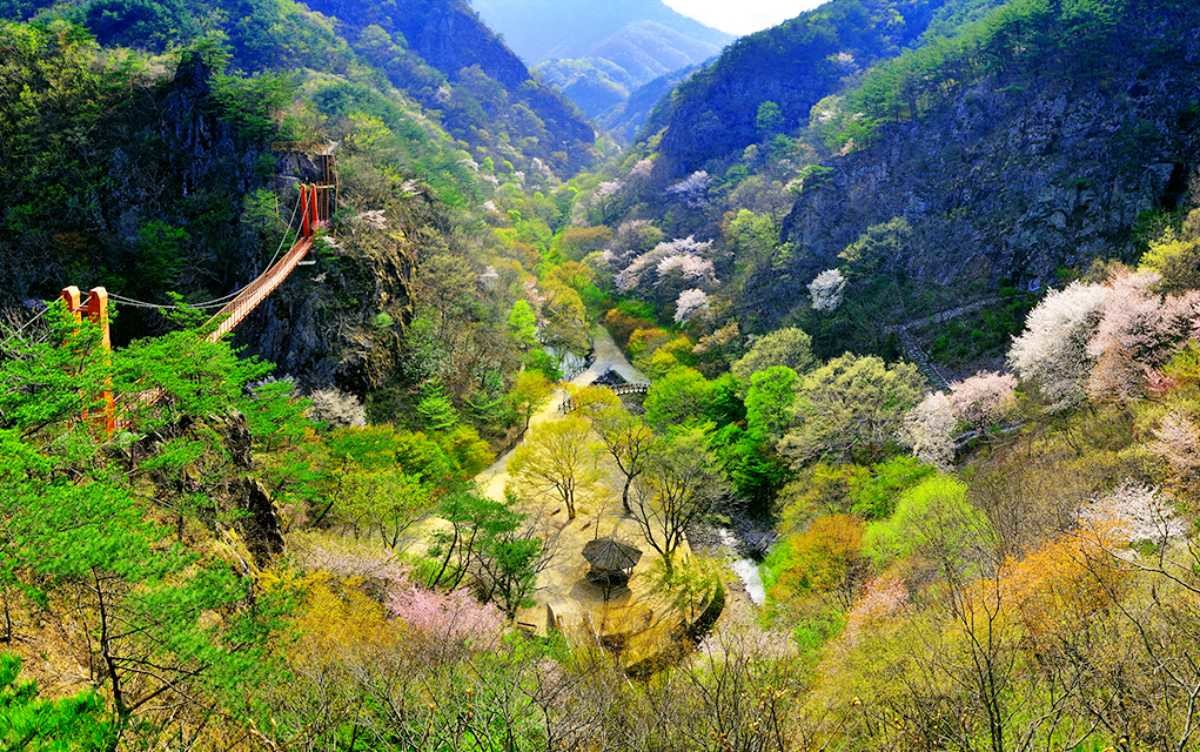 강천산의 봄 / 강천산군립공원 홈페이지