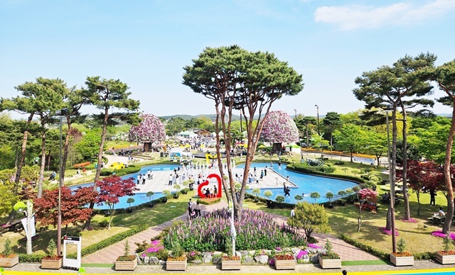 "봄바람 따라 함평 가면 지갑이 두둑해진다"… 파격 혜택 쏟아지는 '나비의 고장'