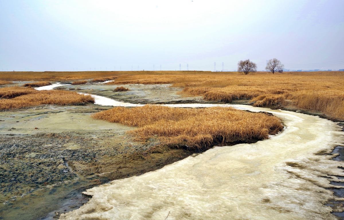 화성 우음도 / 경기도-공공누리