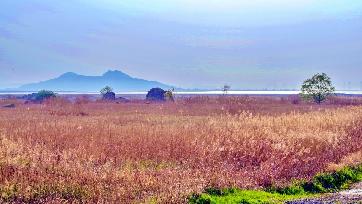 화성 우음도 / 경기도-공공누리