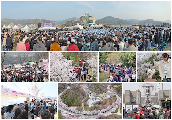 2026 임실 옥정호 벚꽃축제 / 임실군