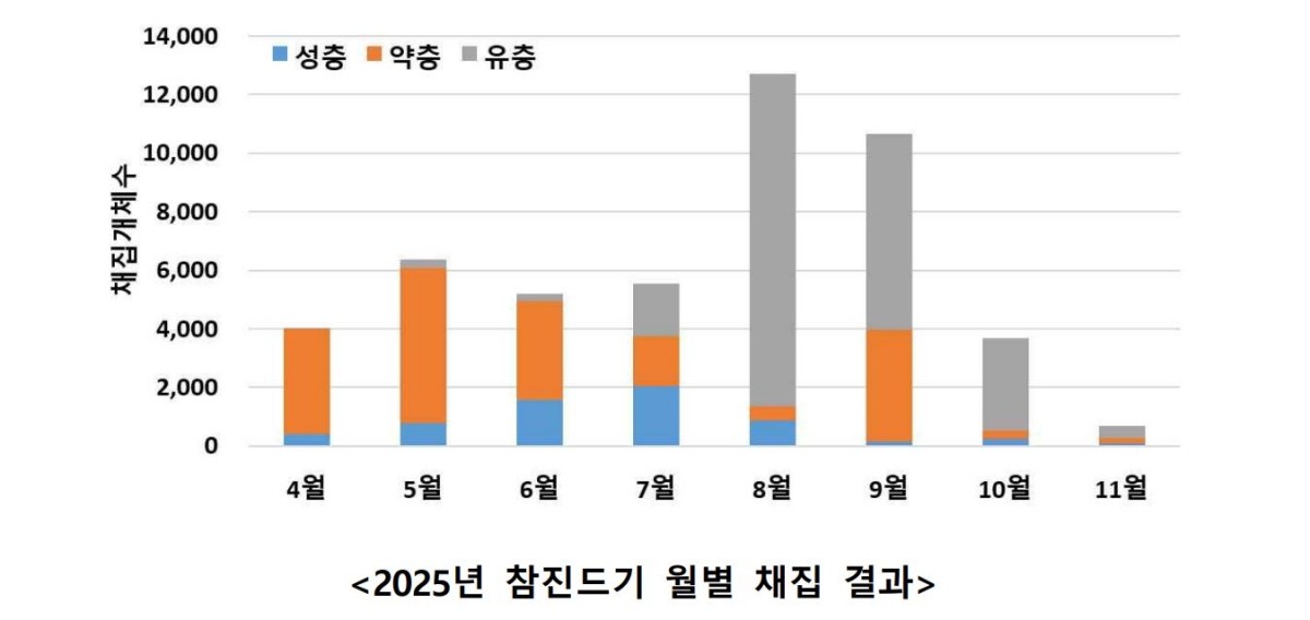 2025년 참진드기 월별 채집 결과 / 질병관리청 제공