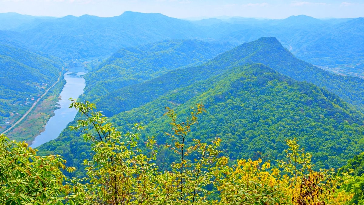 고당리 전경. / 옥천군청 공식 블로그, AI