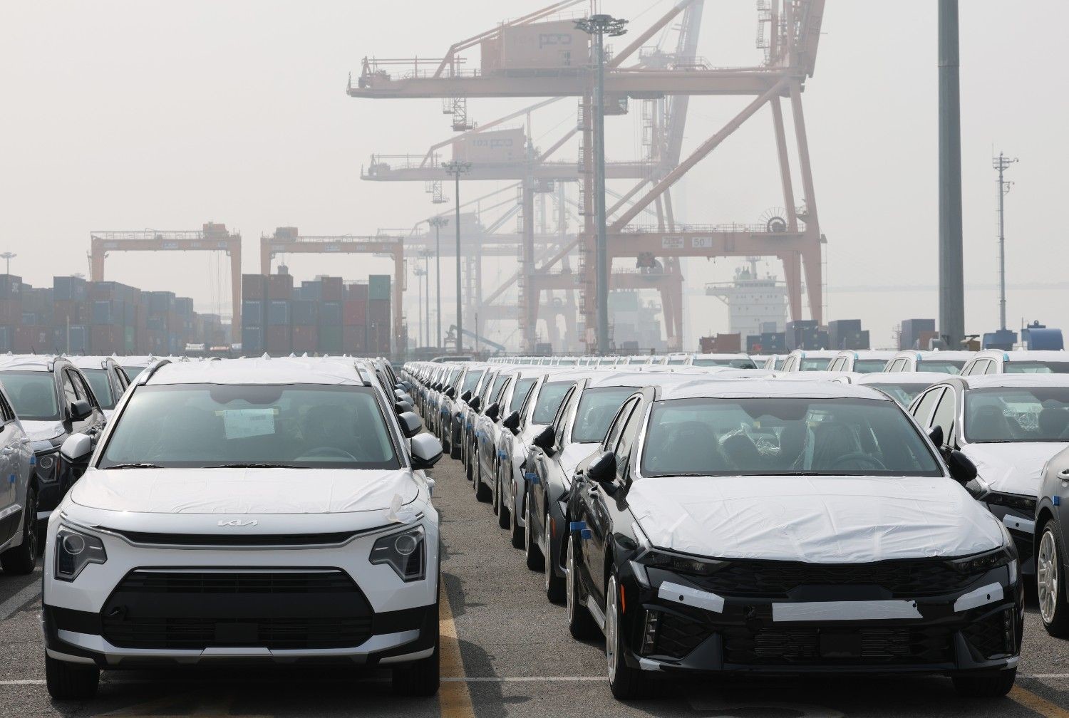 경기 평택시 포승읍 기아 평택항 전용부두에 중동 수출을 앞둔 자동차들이 대규모로 줄지어 대기하고 있는 모습이다. / 뉴스1