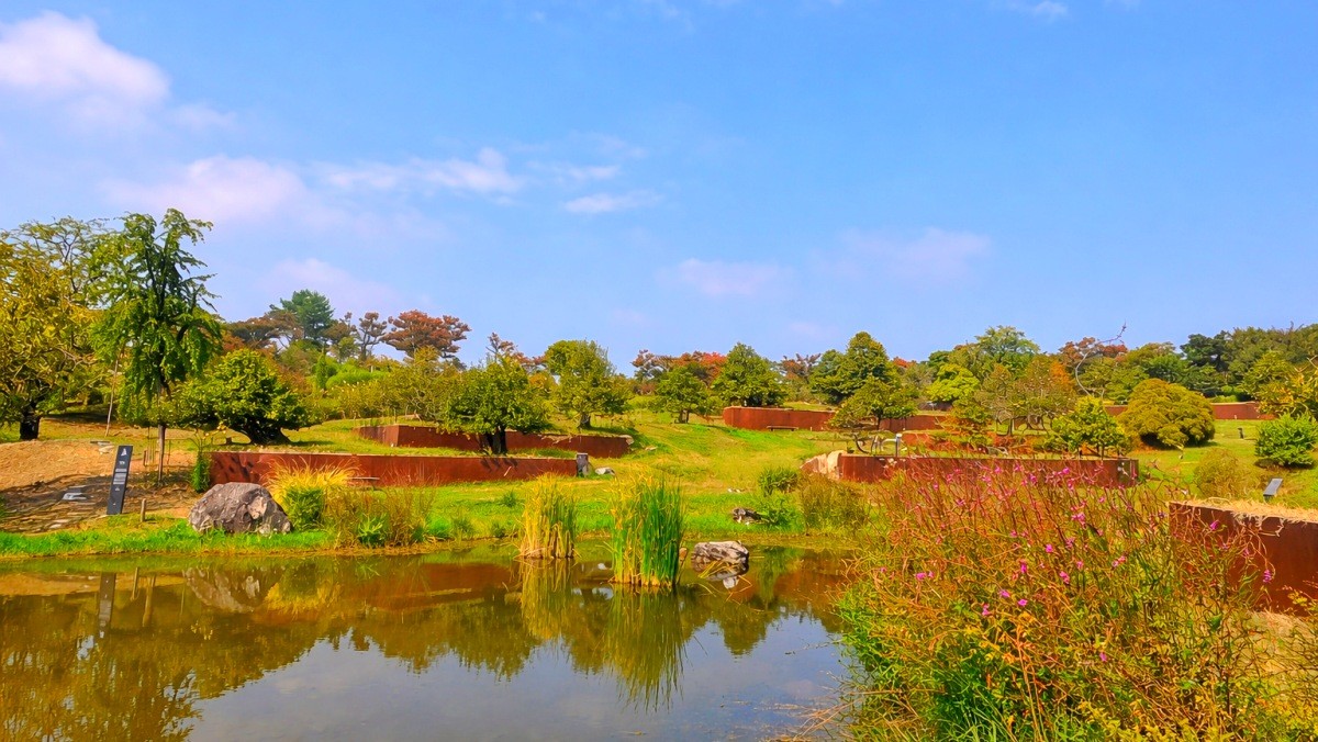 대구 사유원. 기사 내용 토대로 AI툴 활용해 제작한 자료사진.
