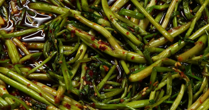 유튜브 '팔숙이 palsook'