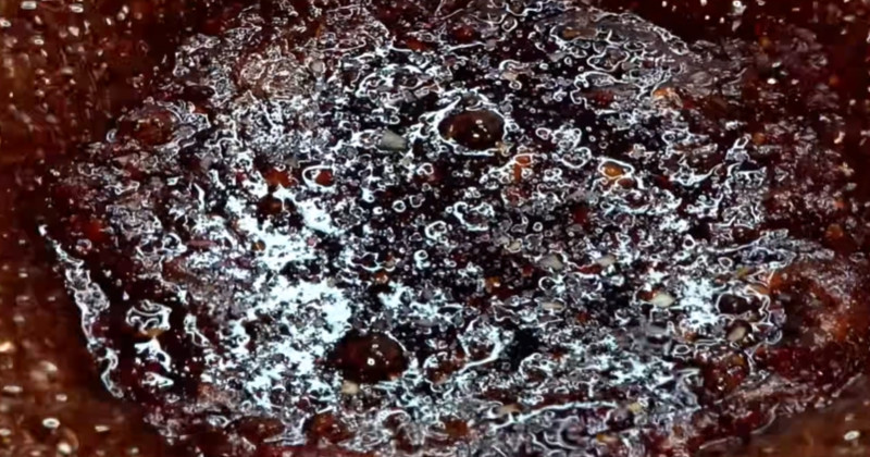 유튜브 '팔숙이 palsook'