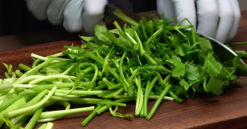 유튜브 '팔숙이 palsook'