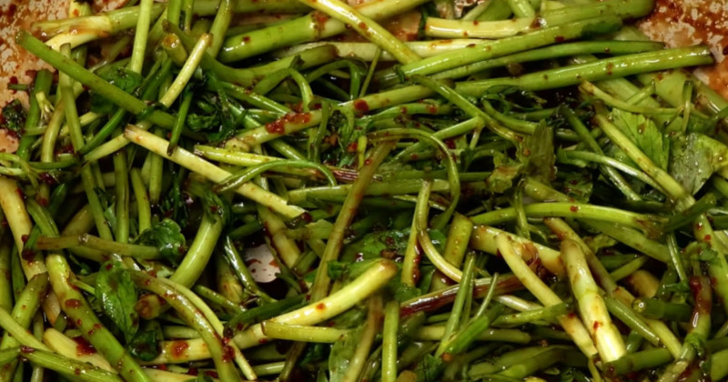 유튜브 '팔숙이 palsook'