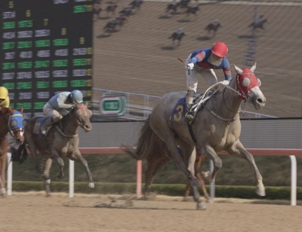 막판 100m 뒤집었다…‘클리어리위너’, 루나Stakes 제패